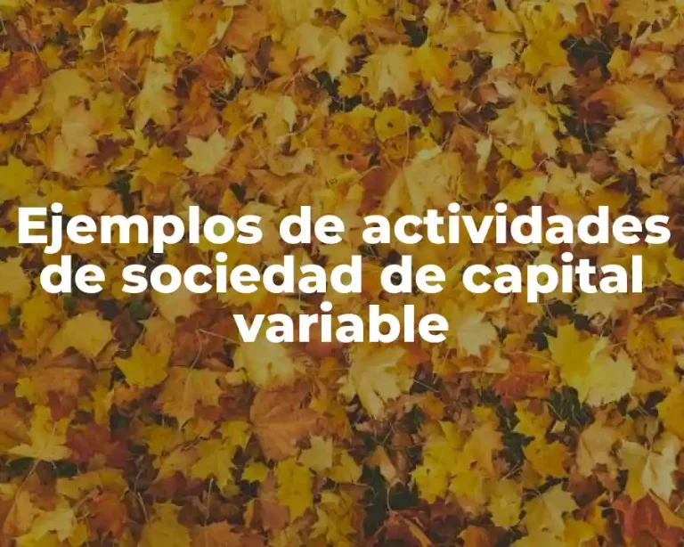 Ejemplos de actividades de sociedad de capital variable