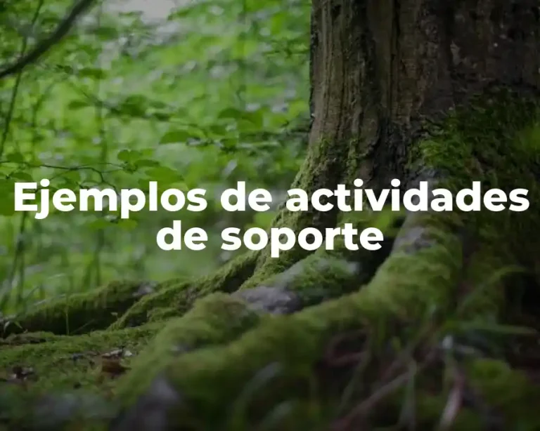 Ejemplos de actividades de soporte