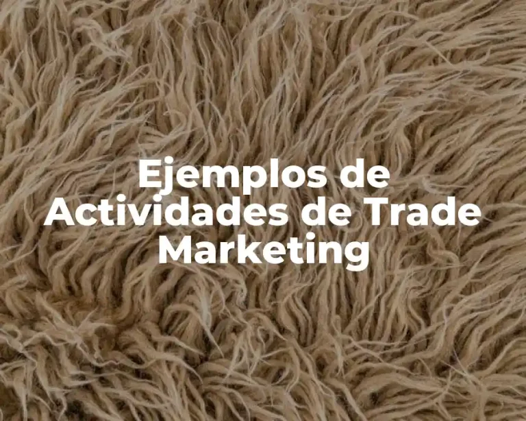 Ejemplos de Actividades de Trade Marketing