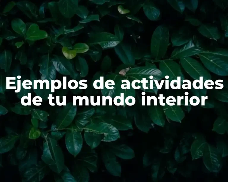 Ejemplos de actividades de tu mundo interior