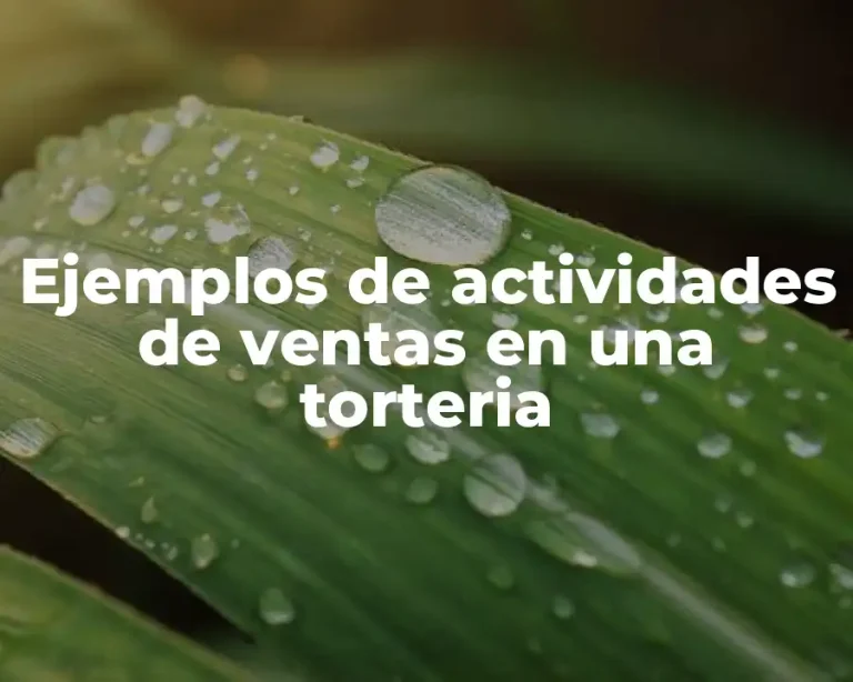 Ejemplos de actividades de ventas en una torteria