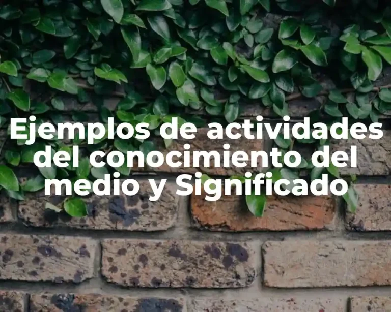 Ejemplos de actividades del conocimiento del medio y Significado