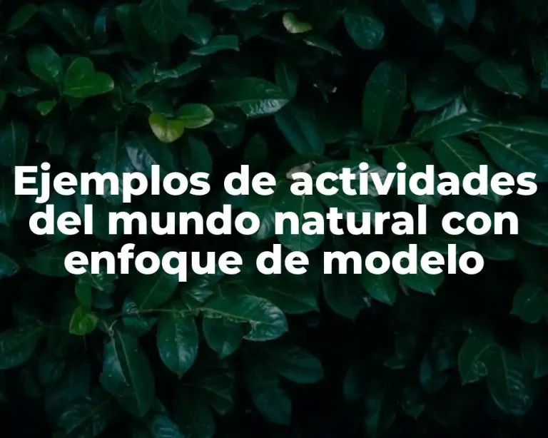 Ejemplos de actividades del mundo natural con enfoque de modelo