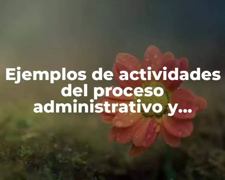 Ejemplos de actividades del proceso administrativo y Significado
