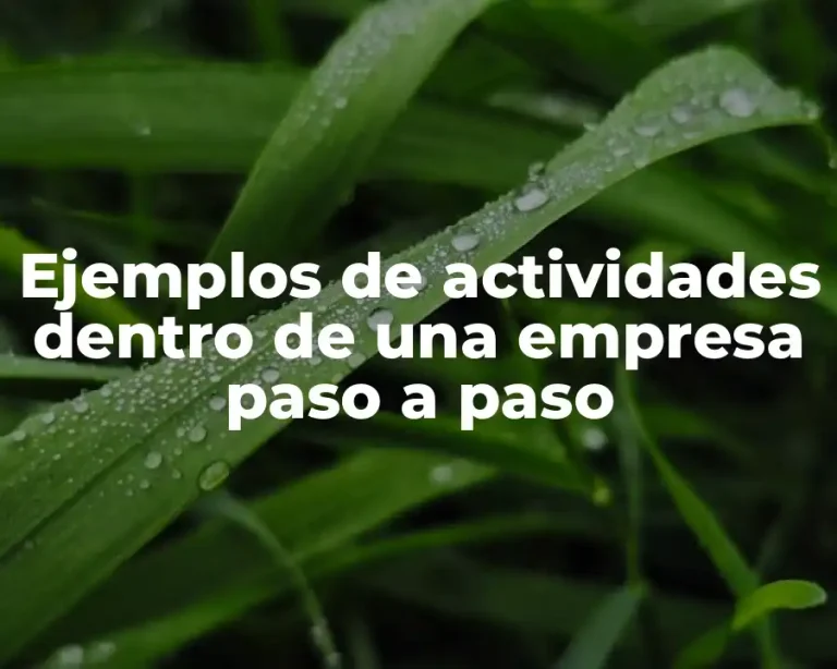 Ejemplos de actividades dentro de una empresa paso a paso