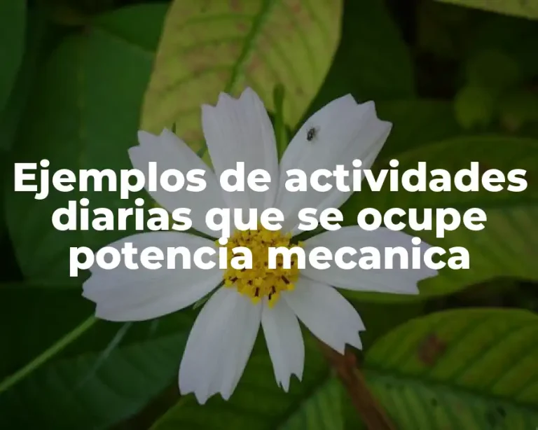 Ejemplos de actividades diarias que se ocupe potencia mecanica