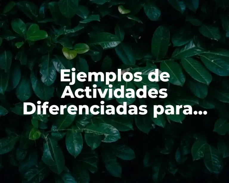 Ejemplos de Actividades Diferenciadas para Quinto Grado