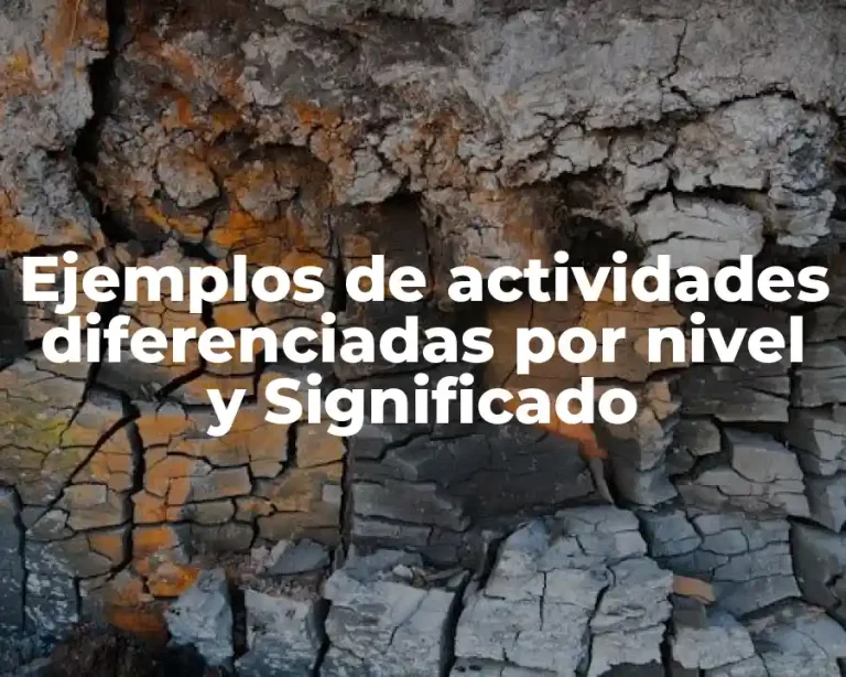 Ejemplos de actividades diferenciadas por nivel y Significado