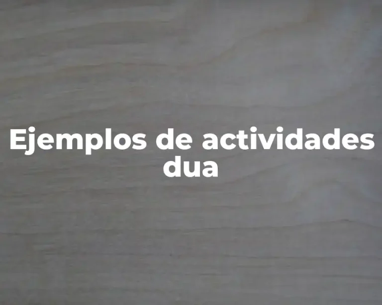 Ejemplos de actividades dua