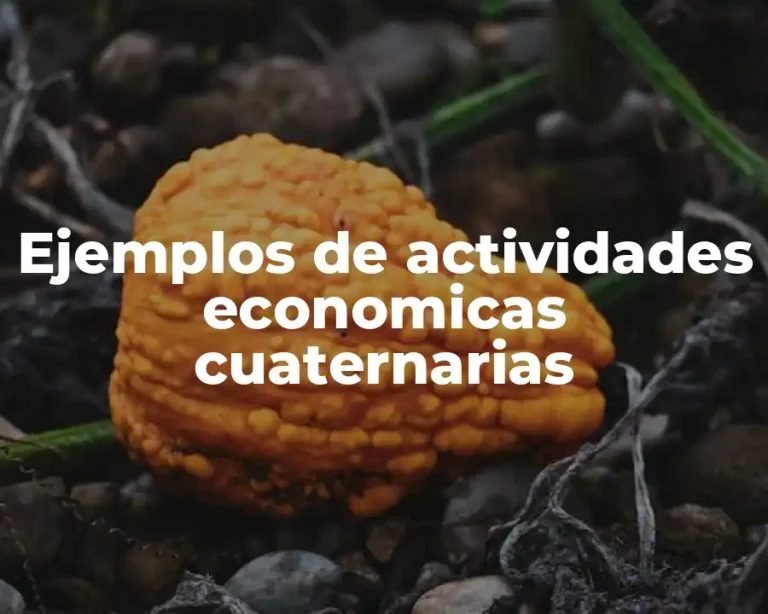 Ejemplos de actividades economicas cuaternarias
