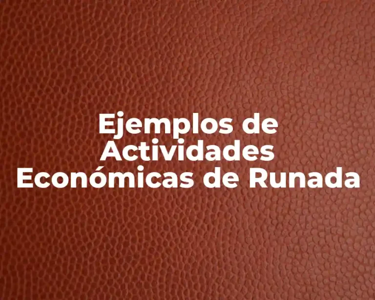 Ejemplos de Actividades Económicas de Runada