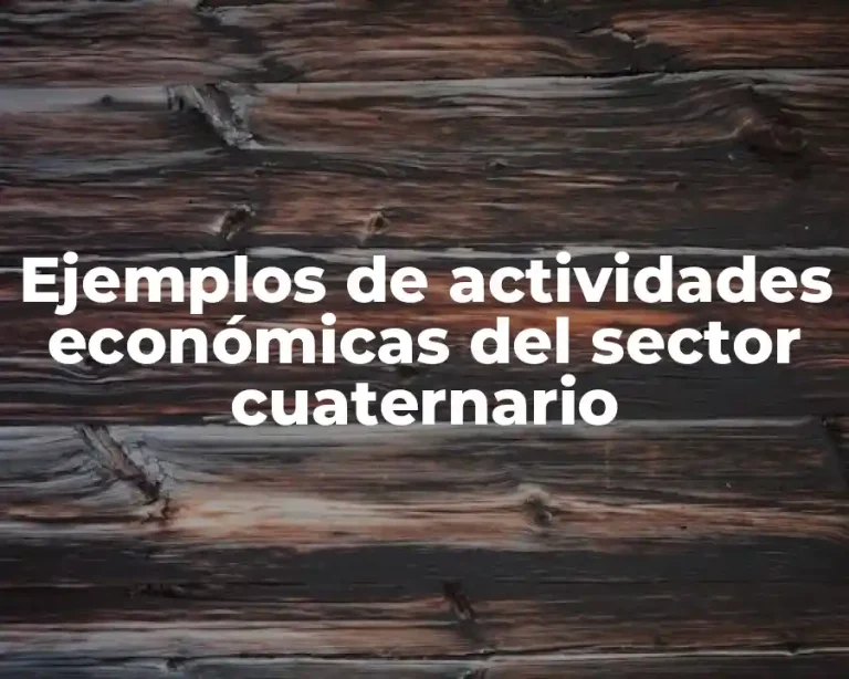 Ejemplos de actividades económicas del sector cuaternario