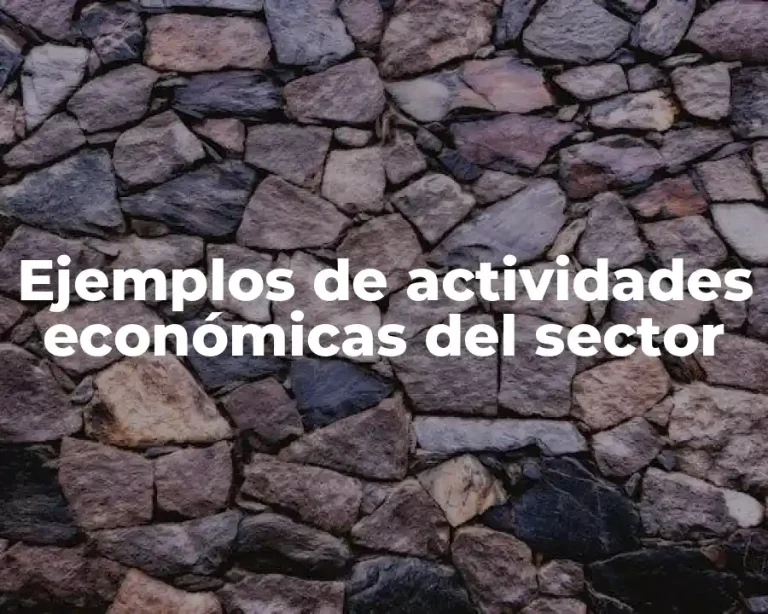 Ejemplos de actividades económicas del sector