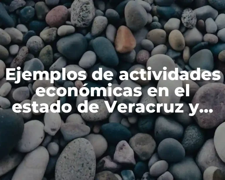 Ejemplos de actividades económicas en el estado de Veracruz y Significado
