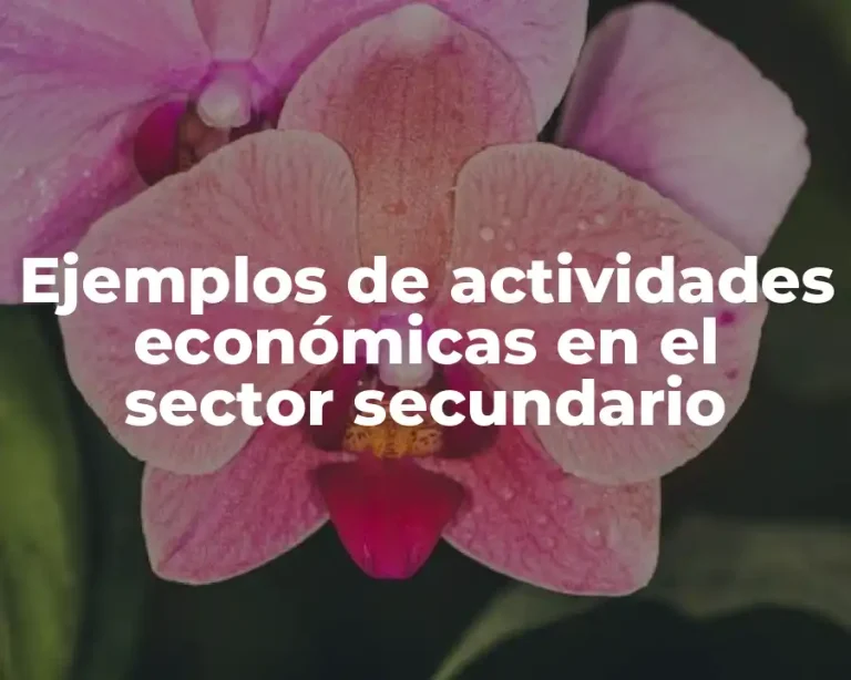 Ejemplos de actividades económicas en el sector secundario