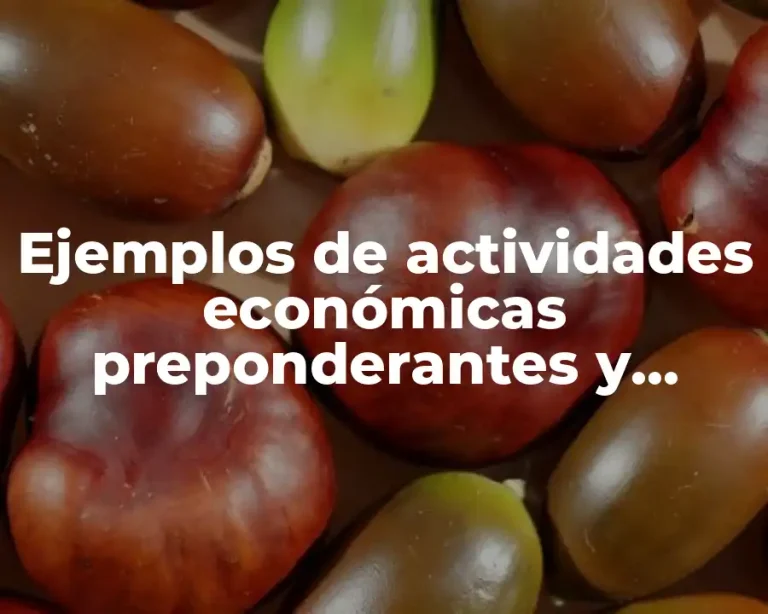 Ejemplos de actividades económicas preponderantes y Significado