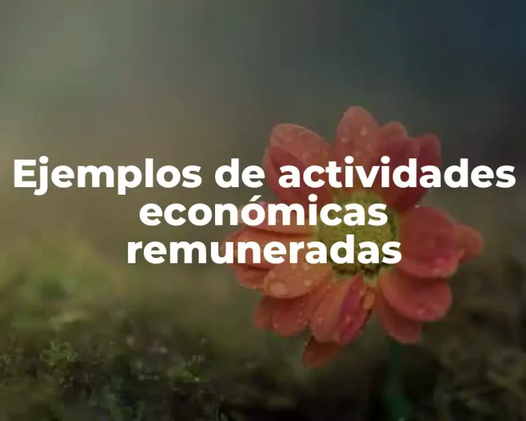 Ejemplos de actividades económicas remuneradas