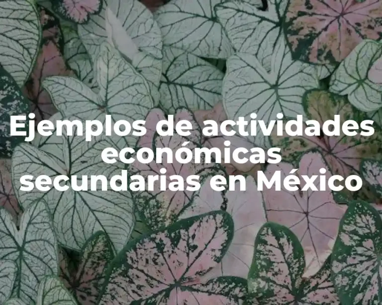 Ejemplos de actividades económicas secundarias en México