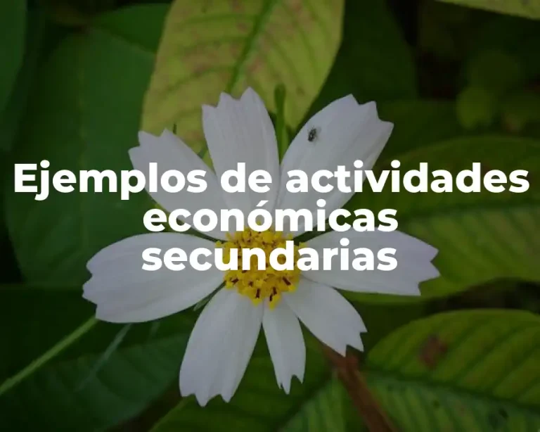 Ejemplos de actividades económicas secundarias