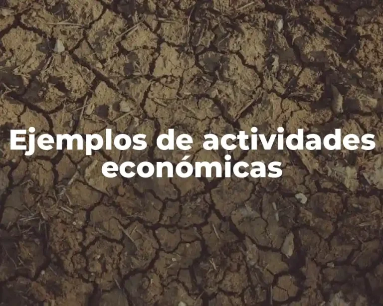 Ejemplos de actividades económicas