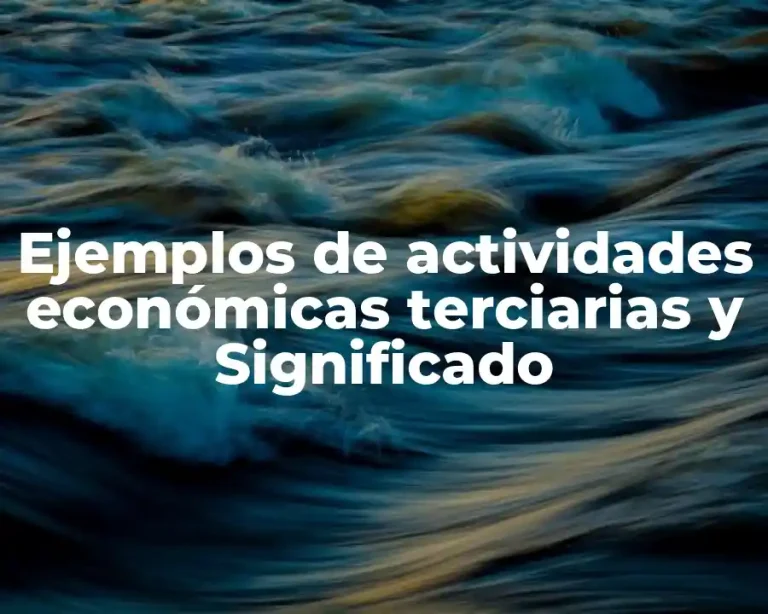 Ejemplos de actividades económicas terciarias y Significado