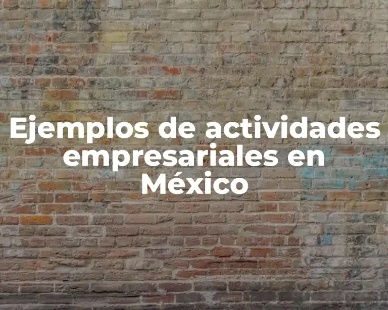 Ejemplos de actividades empresariales en México