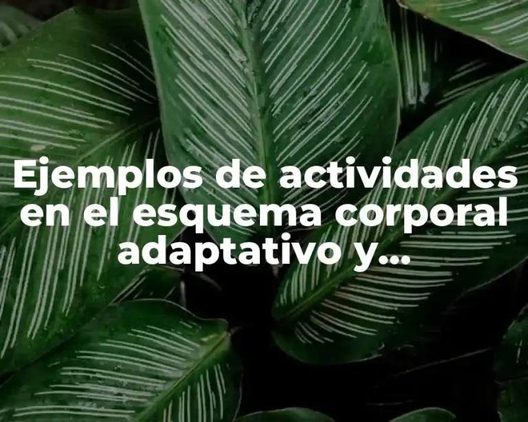 Ejemplos de actividades en el esquema corporal adaptativo y Significado
