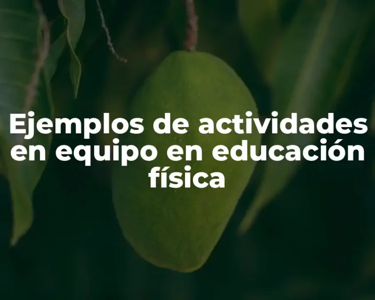 Ejemplos de actividades en equipo en educación física