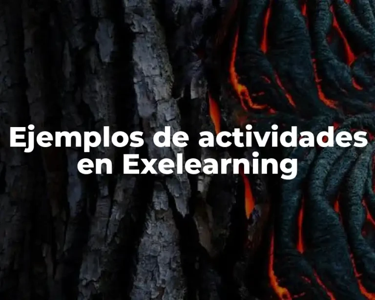 Ejemplos de actividades en Exelearning