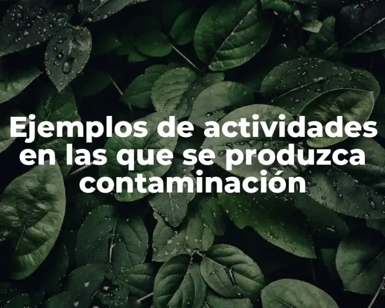 Ejemplos de actividades en las que se produzca contaminación