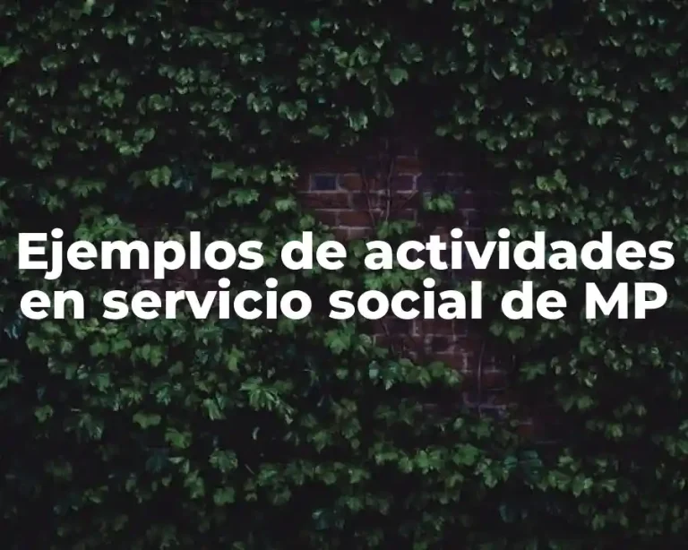 Ejemplos de actividades en servicio social de MP