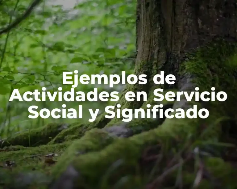 Ejemplos de Actividades en Servicio Social y Significado