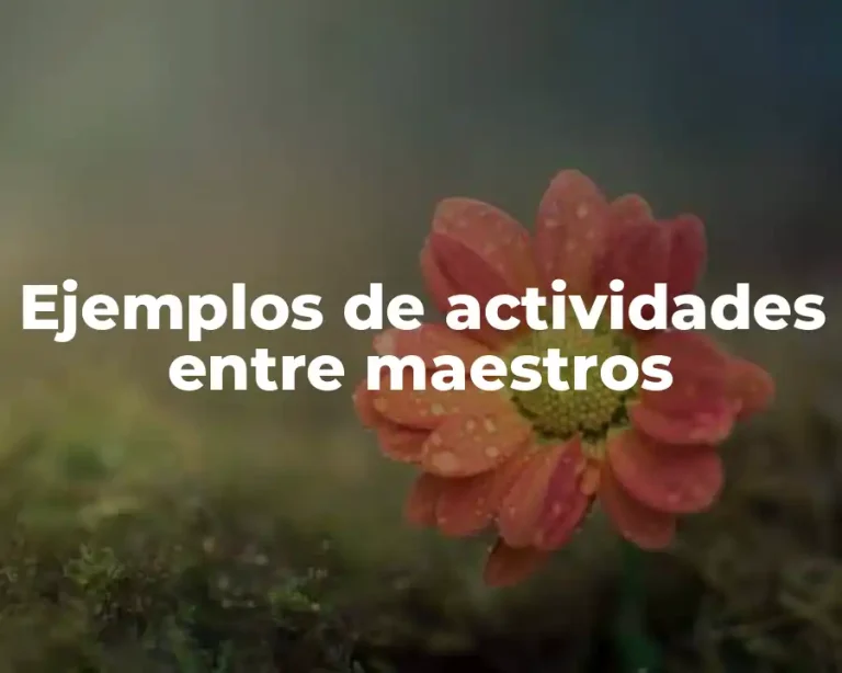 Ejemplos de actividades entre maestros