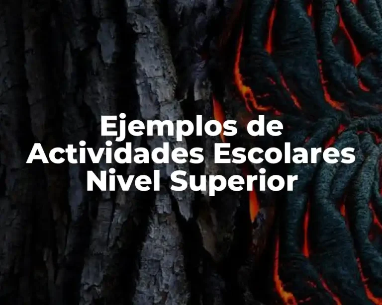 Ejemplos de Actividades Escolares Nivel Superior