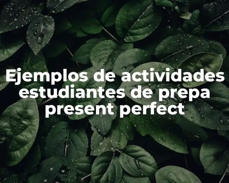 Ejemplos de actividades estudiantes de prepa present perfect