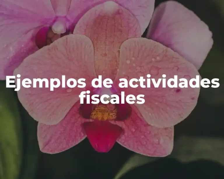 Ejemplos de actividades fiscales