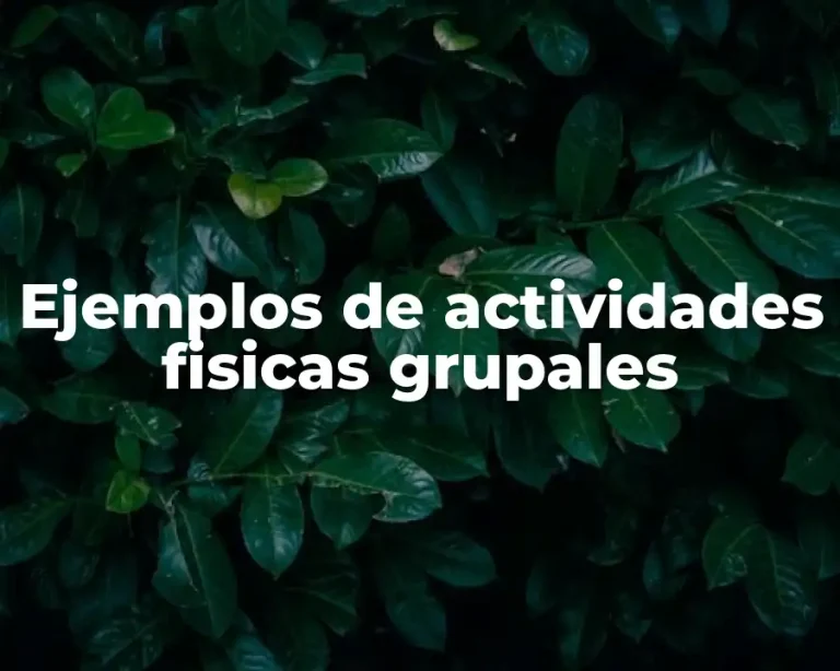 Ejemplos de actividades fisicas grupales