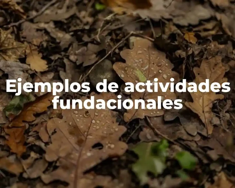 Ejemplos de actividades fundacionales