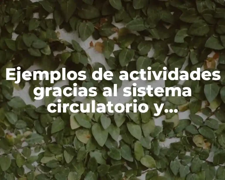 Ejemplos de actividades gracias al sistema circulatorio y Significado