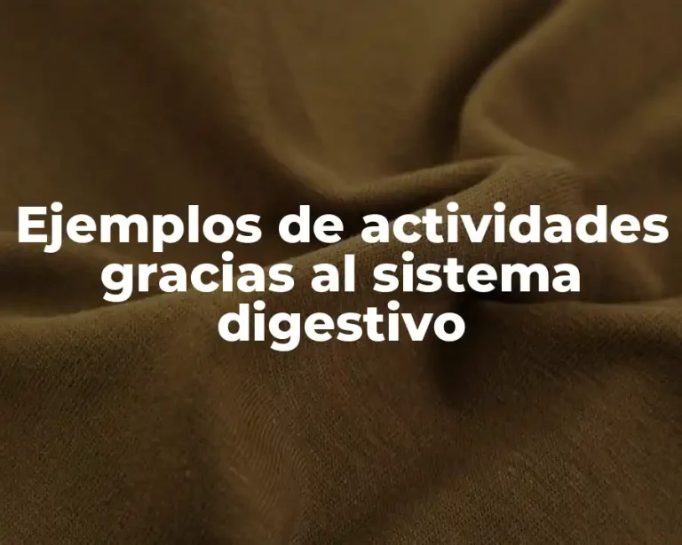 Ejemplos de actividades gracias al sistema digestivo