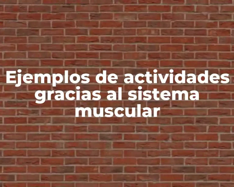 Ejemplos de actividades gracias al sistema muscular
