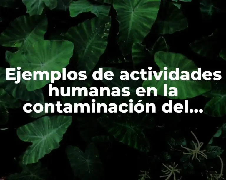 Ejemplos de actividades humanas en la contaminación del planeta y Significado