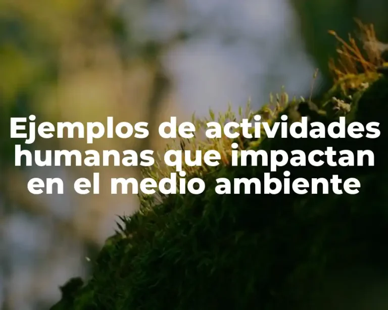 Ejemplos de actividades humanas que impactan en el medio ambiente