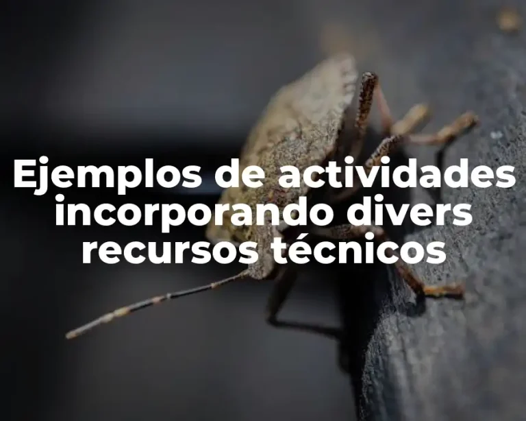 Ejemplos de actividades incorporando divers recursos técnicos