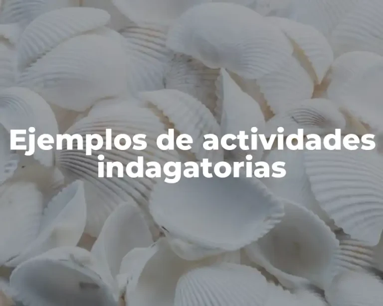 Ejemplos de actividades indagatorias