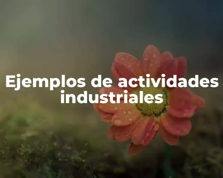 Ejemplos de actividades industriales