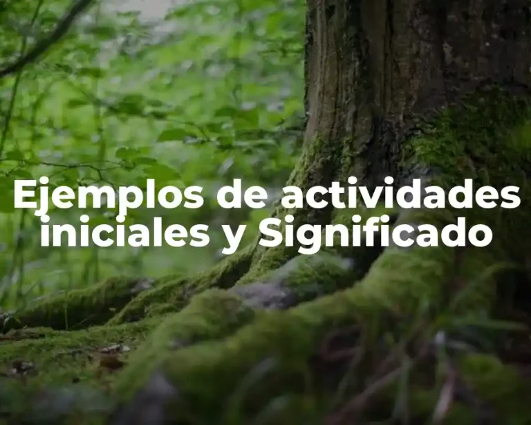 Ejemplos de actividades iniciales y Significado
