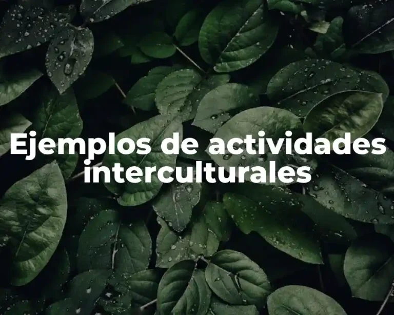 Ejemplos de actividades interculturales
