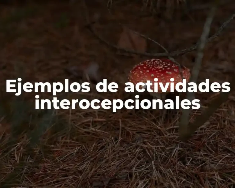 Ejemplos de actividades interocepcionales