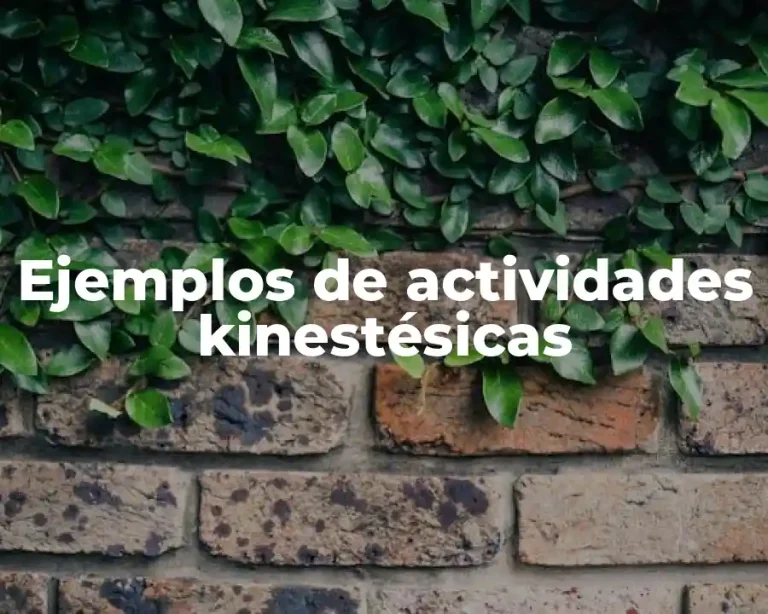 Ejemplos de actividades kinestésicas